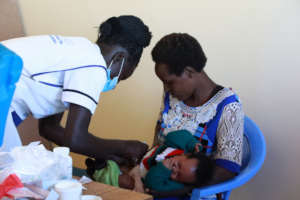 Administering immunisation vaccine