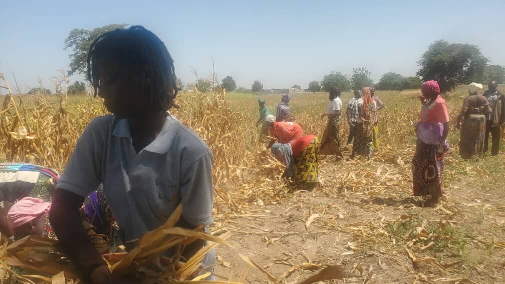 Water to Empower Female Farmers in Burkina Faso