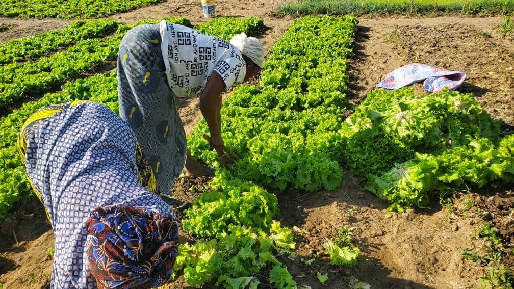 Water to Empower Female Farmers in Burkina Faso