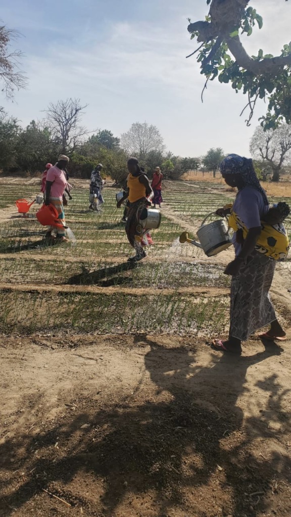 Give seeds to Women Farmers of Burkina Faso