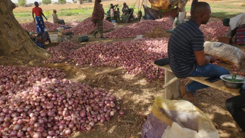 Water to Empower Female Farmers in Burkina Faso