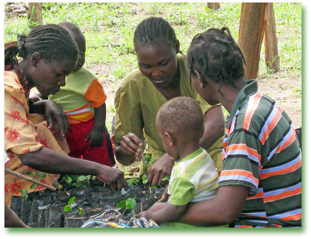 The Village Tree Nursery
