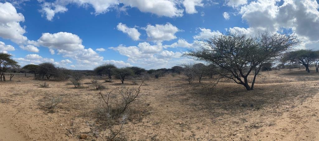 HERD Elephant Impact Project Phase 1