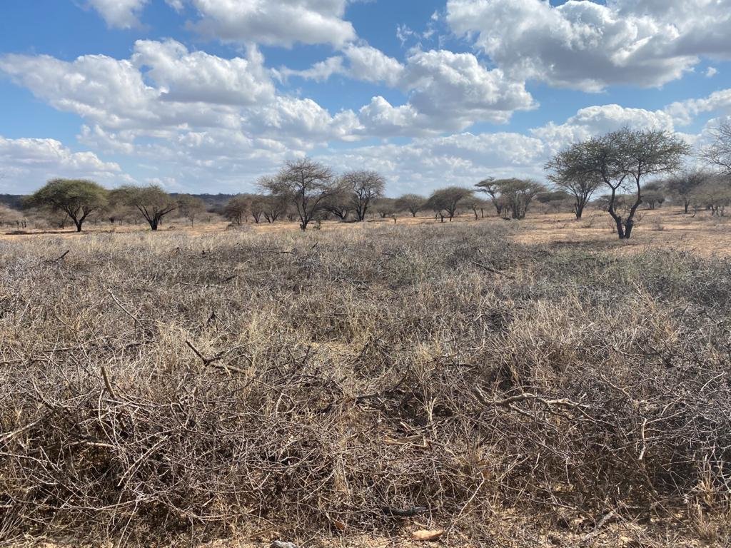 HERD Elephant Impact Project Phase 1