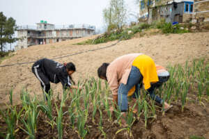 Girls at kitchen garden at Arhaus Children Home