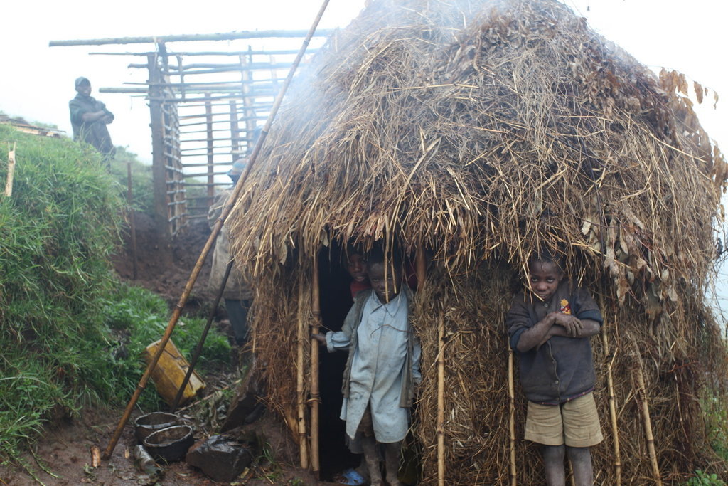 Health Care For 1500 at Risk Pygmies