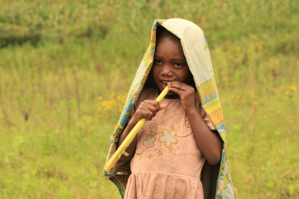 Health Care For 1500 at Risk Pygmies