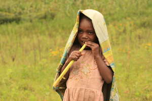 Health Care For 1500 at Risk Pygmies