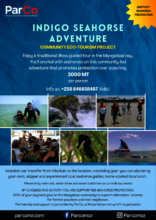 Indigo Adventure Poster