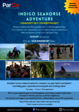 Indigo Seahorse Adventure flier