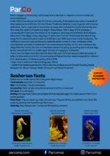 Info Page