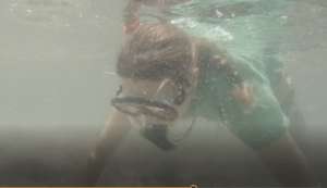 Snorkeling Safari