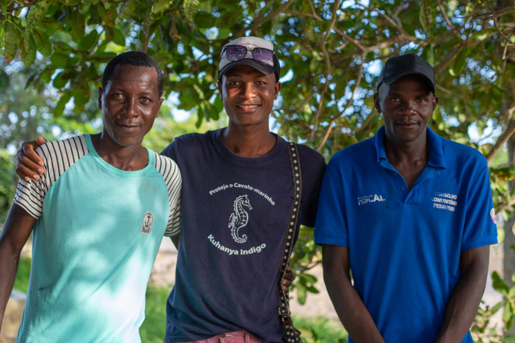 Save the Seahorses of Mozambique