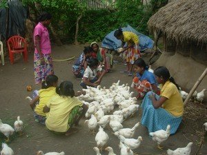 Rehabilitation of 500 Risk Girls in Balasore India