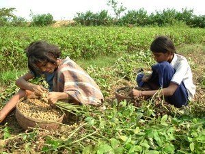 Rehabilitation of 500 Risk Girls in Balasore India