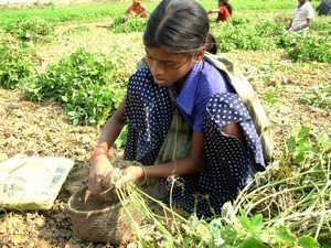 Rehabilitation of 500 Risk Girls in Balasore India