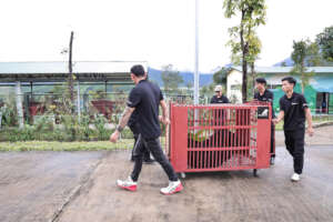 Last moon bear in Da Nang transferred to a center