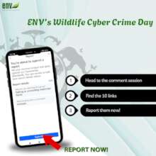 ENV's Cyber Crime Day announcement
