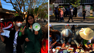 Coffee Festival in Buon Ma Thuot city, Dak Lak