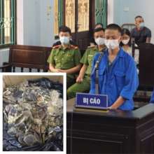 First prison sentence for African pangolin scales