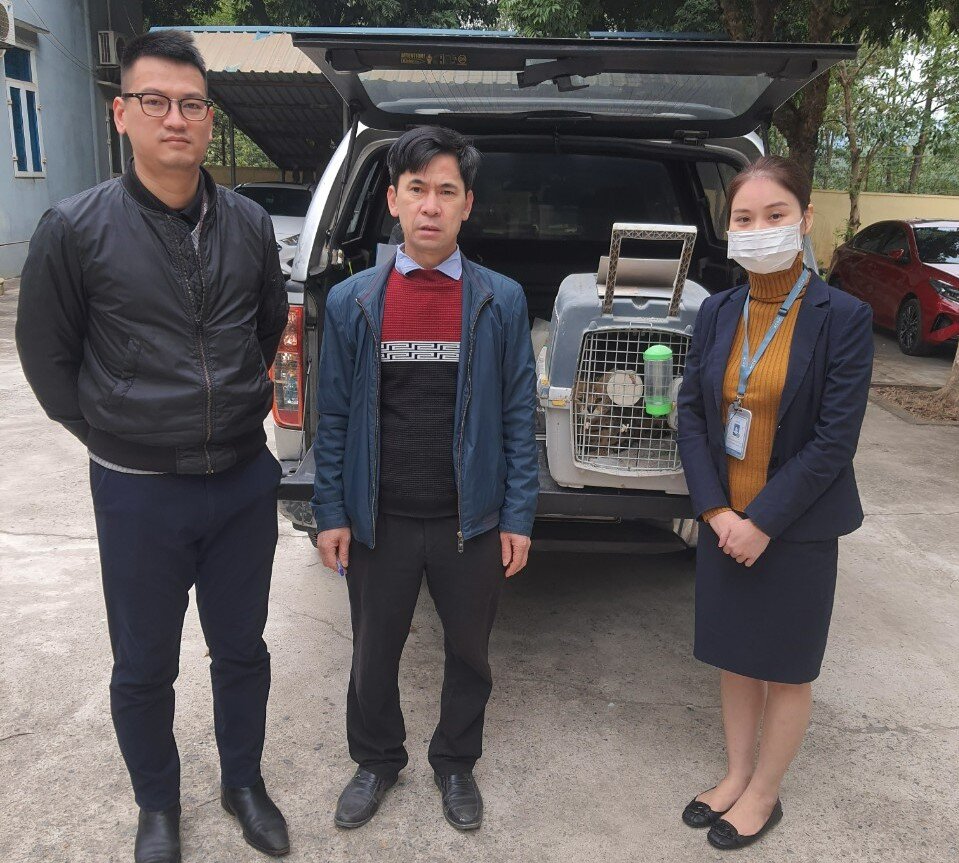 Serval cat confiscated and transferred