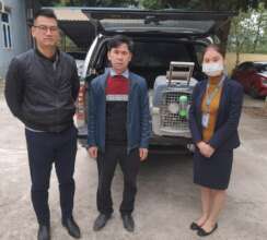 Serval cat confiscated and transferred