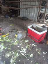 Wildlife confiscated at pagoda in Ho Chi Minh City