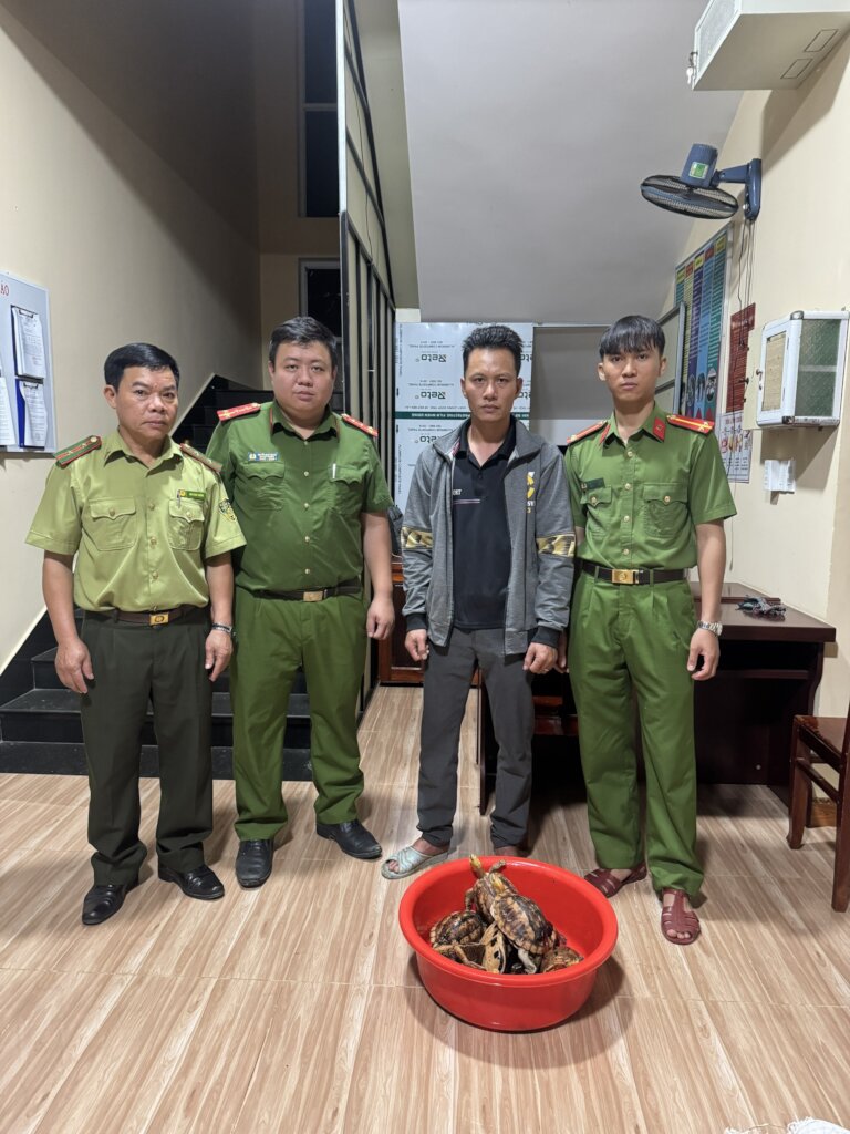 Online seller arrested and turtles confiscated