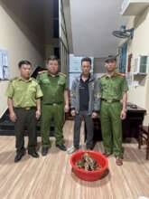 Online seller arrested and turtles confiscated