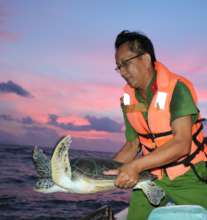 Sea turtle confiscated and returned to the ocean