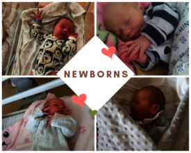 Newborns