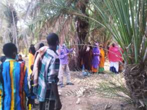 Demonstration activities on date palms farming