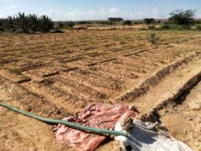 El Dahir Pilot Farm Extension