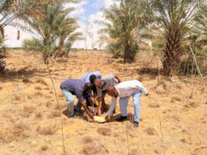 Figure 7: Laying of stone for Jibagale
