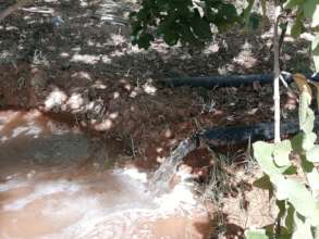 Current irrigation system in El-Dahir farm