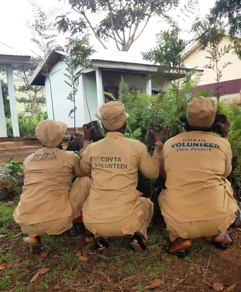 Engage 1000 women on resilient farming in Cameroon - GlobalGiving