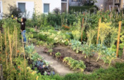 WErto: Gardening that connects people