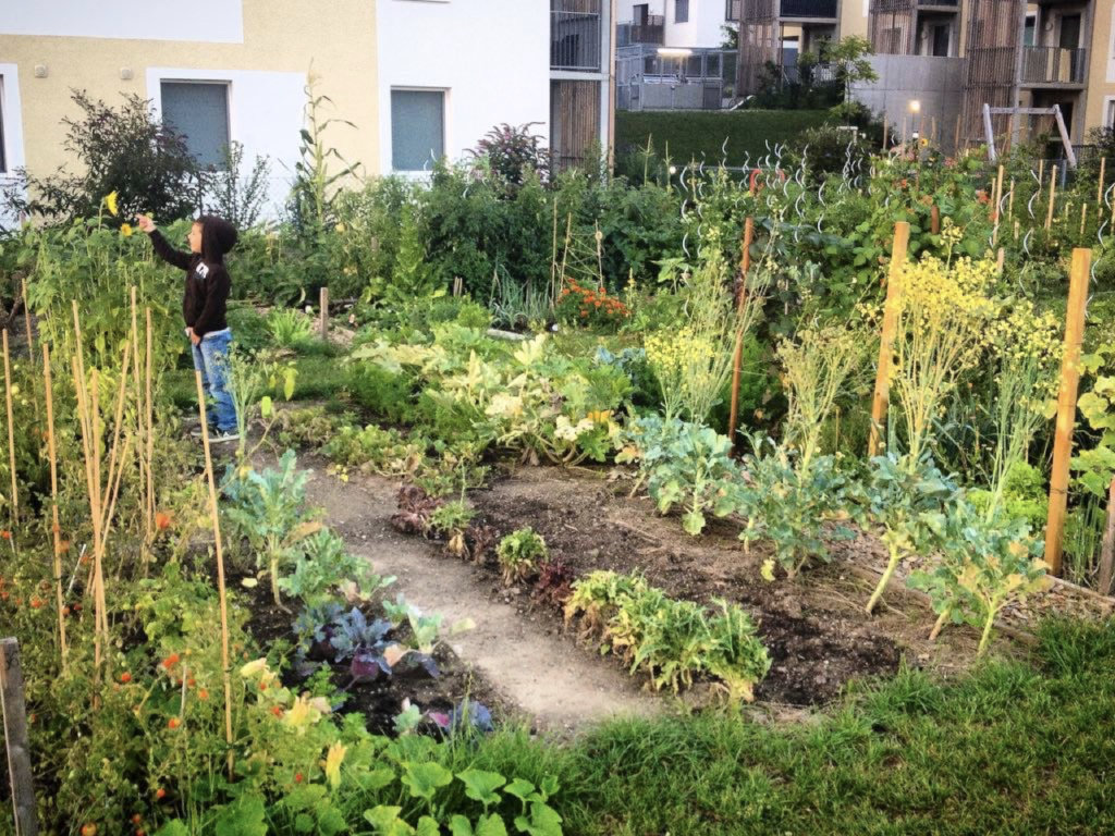 WErto: Gardening that connects people