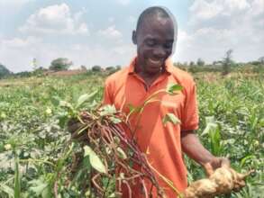A promising sweet potato harvest!