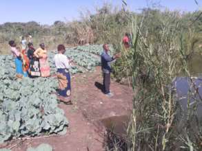 Farmers Explore Solar Irrigation Farming Site