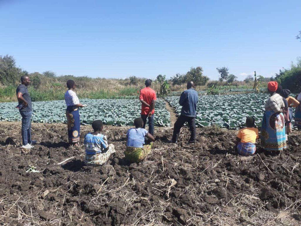 Farmers Plan for for the Solar Irrigation Farming