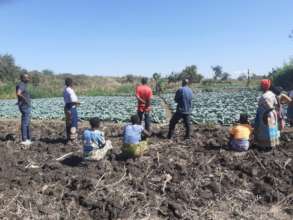 Farmers Plan for for the Solar Irrigation Farming