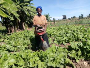A woman farmer irrigates her vegetables with a can