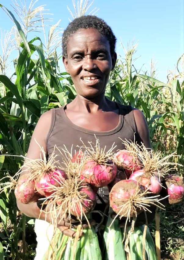 Empower 30 Malawian Families with Solar Irrigation