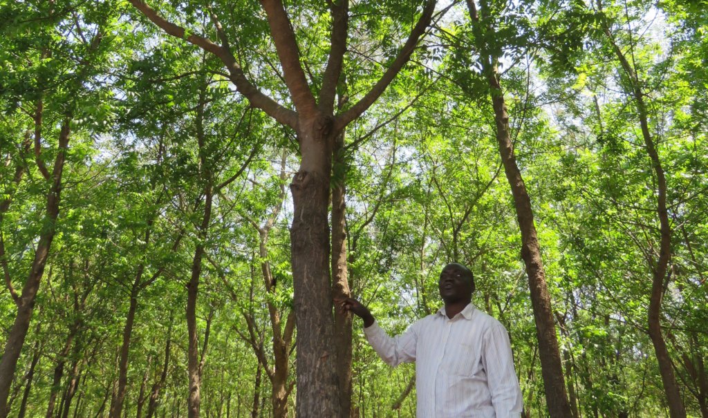 Empower 30 Malawian Families with Solar Irrigation