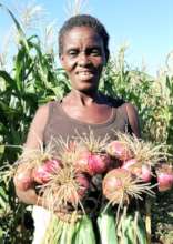 Growing vegetables gives extra to eat and sell