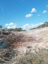 Mayan forest deforested