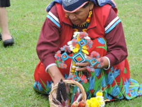Empower environmental defenders in Mexico