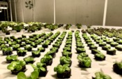 Provide Fresh Meals to 30,000+ People in Florida