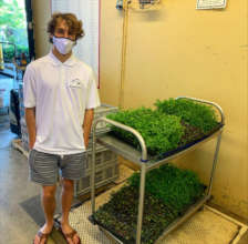 First delivery of microgreens